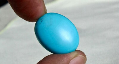 Natural Arizona Turquoise Gemstone Oval Cabochon 14.88ct For Ring/pendant