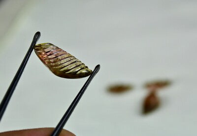 Rare Colour Natural Tourmaline Carved 4 Pcs 18.12 Ct Gemstone For Earrings