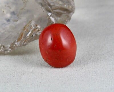 Certified Natural Red Coral 24x20mm 40.14 Ct Gemstone For Ring Pendant