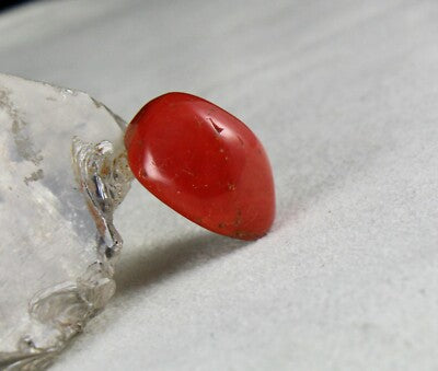 Certified Natural Red Coral 24x20mm 40.14 Ct Gemstone For Ring Pendant