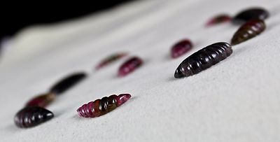 Certified Natural Multi Colour Tourmaline Carved 11 Pcs 71.75ct Gemstone Set