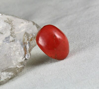 Certified Natural Red Coral 24x20mm 40.14 Ct Gemstone For Ring Pendant