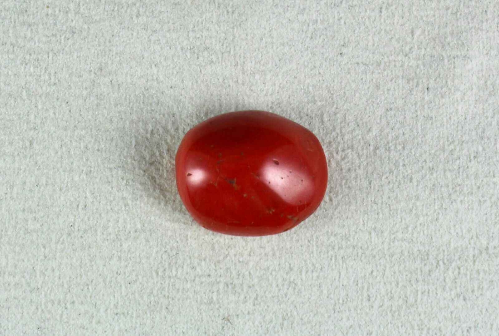 Natural Red Coral Cabochon 24X20mm 40.14 Ct Loose Gemstone For Ring Pendant