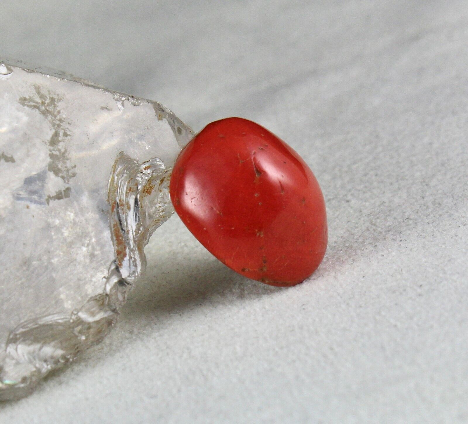 Natural Red Coral Cabochon 24X20mm 40.14 Ct Loose Gemstone For Ring Pendant