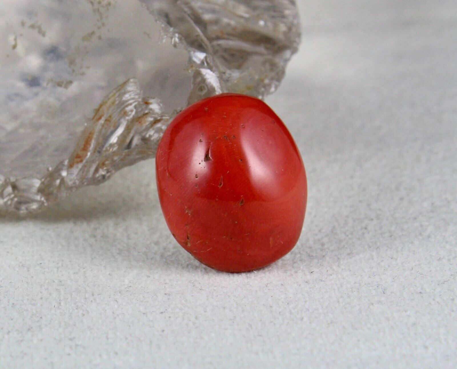Natural Red Coral Cabochon 24X20mm 40.14 Ct Loose Gemstone For Ring Pendant