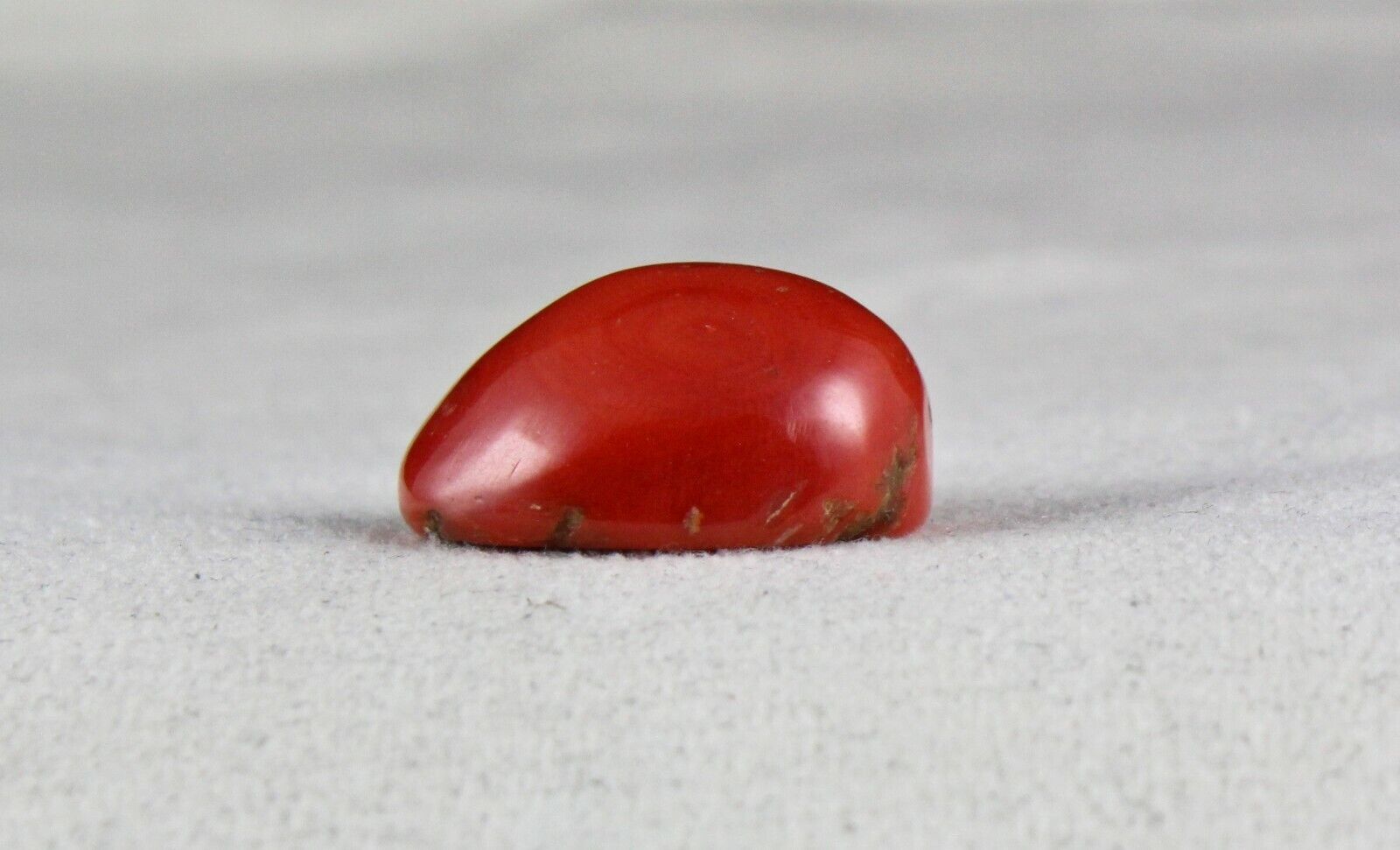 Natural Red Coral Cabochon 24X20mm 40.14 Ct Loose Gemstone For Ring Pendant