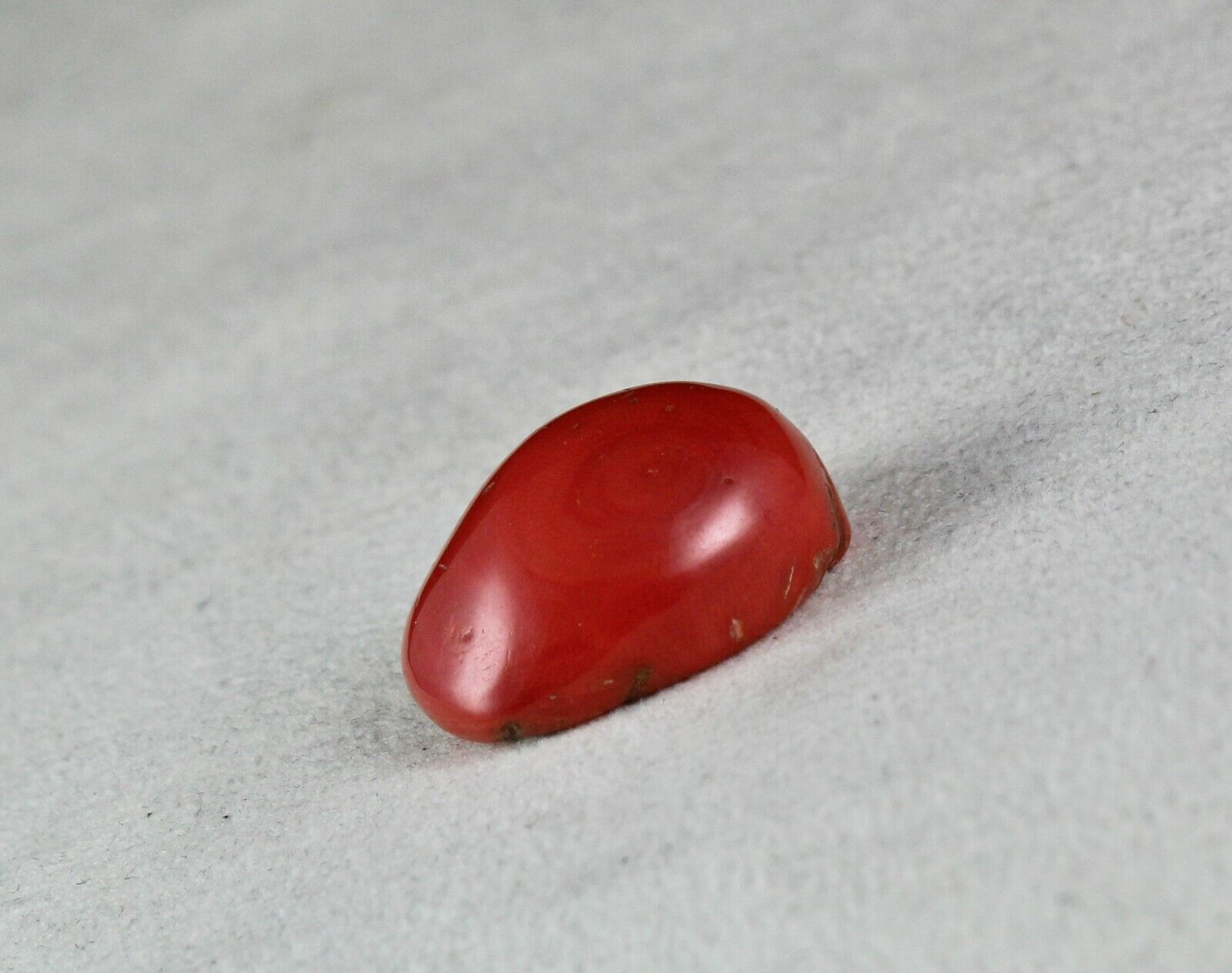 Natural Red Coral Cabochon 24X20mm 40.14 Ct Loose Gemstone For Ring Pendant