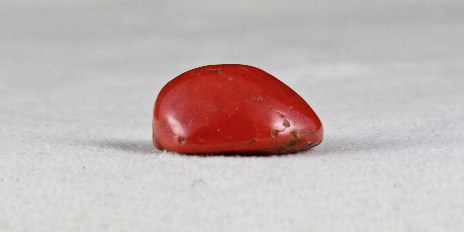 Natural Red Coral Cabochon 24X20mm 40.14 Ct Loose Gemstone For Ring Pendant