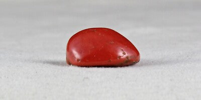 Certified Natural Red Coral 24x20mm 40.14 Ct Gemstone For Ring Pendant