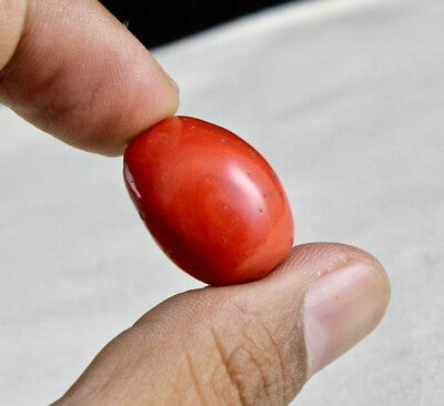 Certified Natural Red Coral 24x20mm 40.14 Ct Gemstone For Ring Pendant