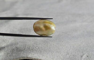 Certified 58.70 Ct Ruby Emerald Sapphire Pearl Hessonite Catseye Loose Gemstone