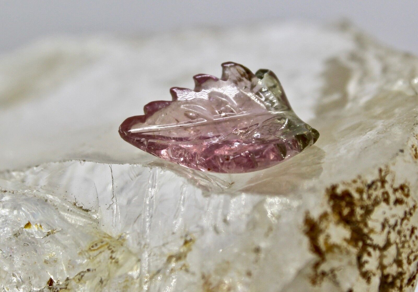 Natural Multi Tourmaline Carved Leaf 8.06 Ct Gemstone For Ring & Pendant